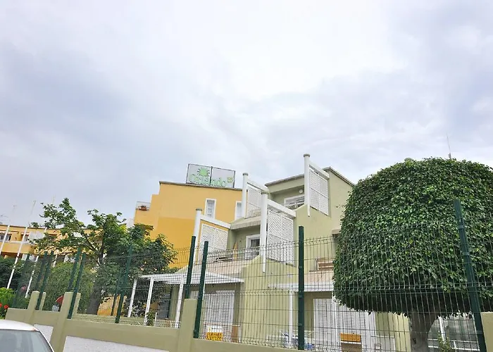 In Orlando Apartment